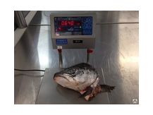 Полуфабрикат из лосося